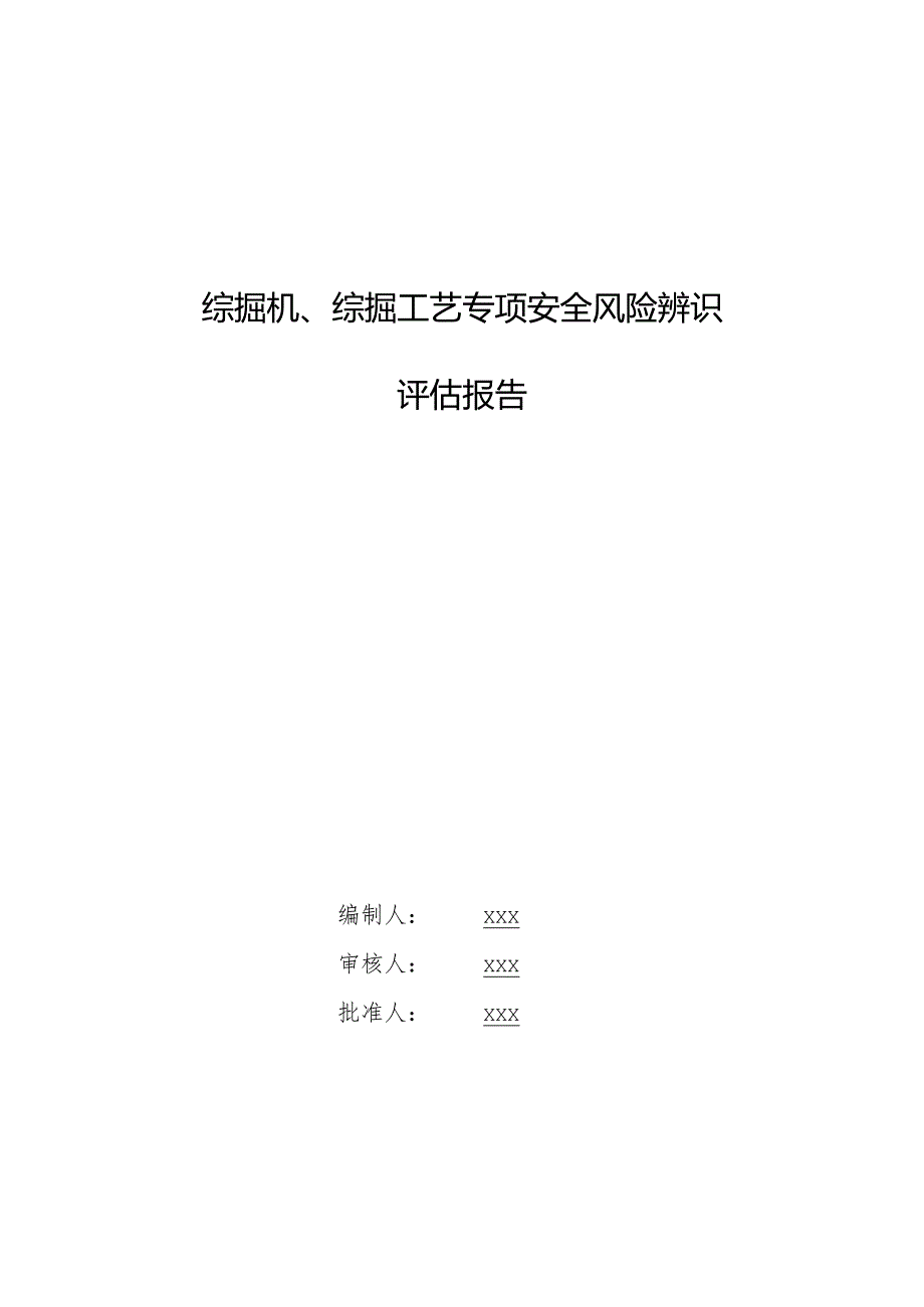 综掘机、综掘工艺专项安全风险辨识评估报告.docx_第1页