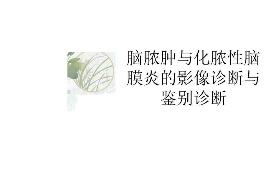 脑脓肿与化脓性脑膜炎的影像诊断与鉴别诊断.docx_第1页