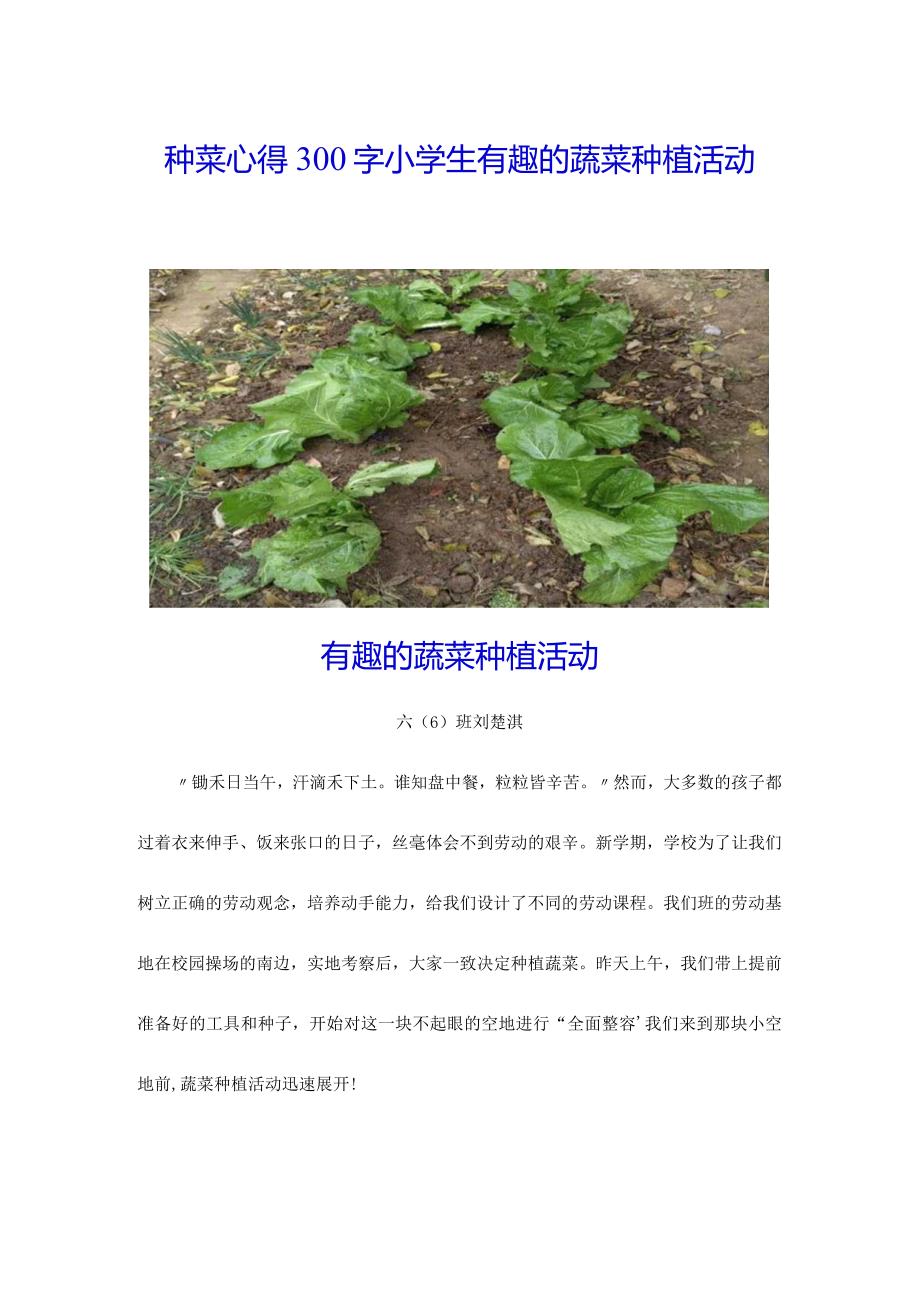 种菜心得300字小学生.docx_第1页