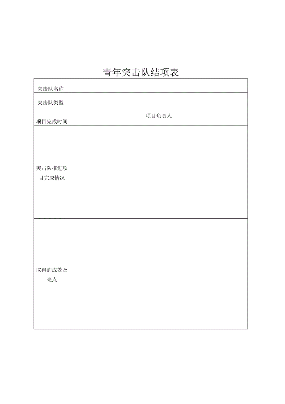 青年突击队创建表、结项表、统计表.docx_第3页