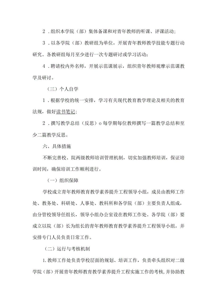 青年教师教育教学素质提升工程方案.docx_第3页