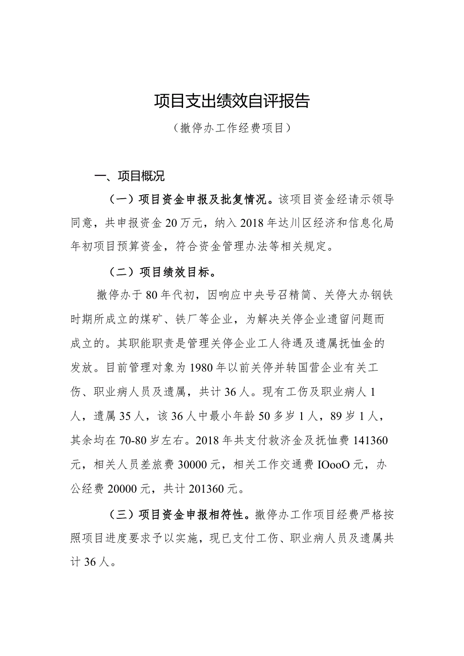 项目支出绩效自评报告.docx_第1页