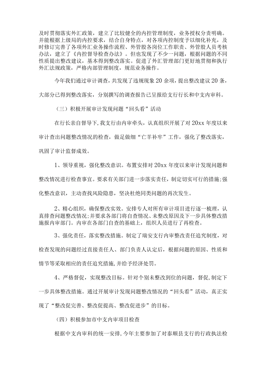 银行审计个人工作总结.docx_第2页