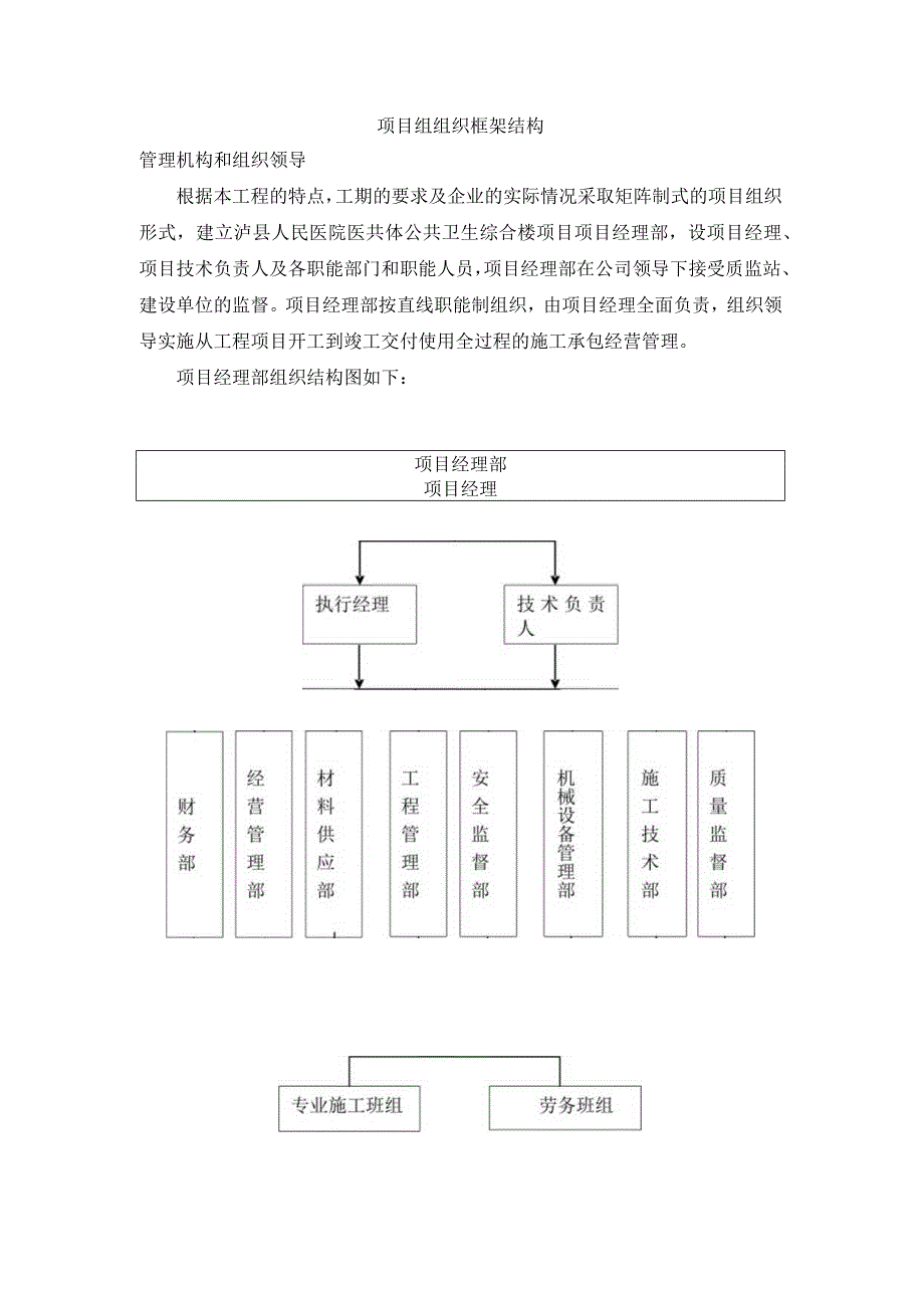 项目组组织框架结构.docx_第1页