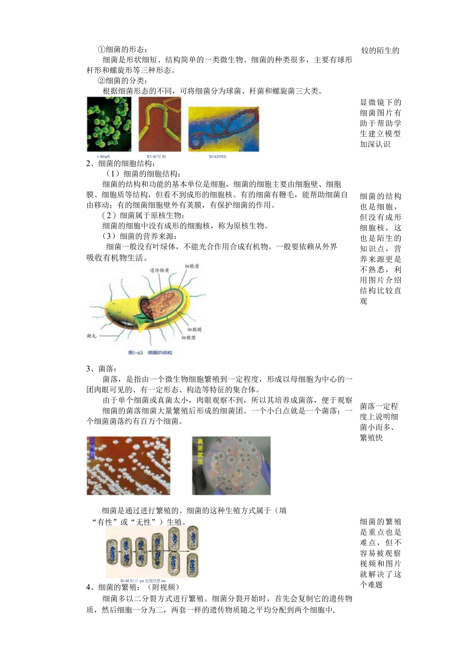 2024浙教版七下科学1.6细菌和真菌的繁殖（1）教学设计（表格式）.docx_第2页