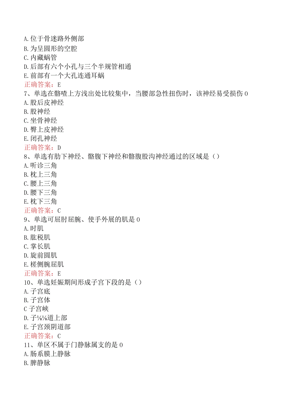 康复医学治疗技术(主管技师)：解剖学必看考点六.docx_第2页