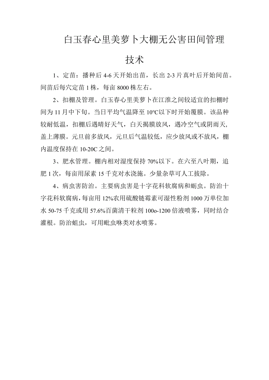 白玉春心里美萝卜大棚无公害田间管理技术.docx_第1页