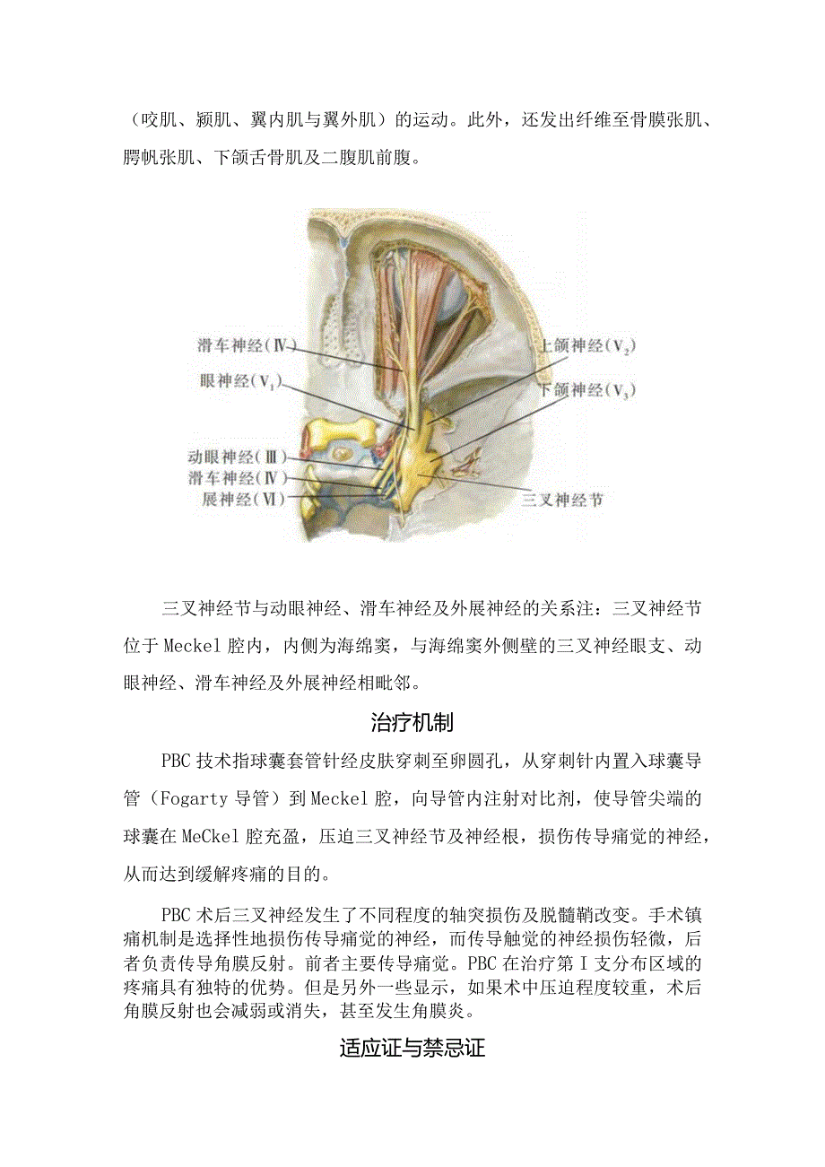 临床经皮球囊压迫术相关解剖、原理、适应证、禁忌证、操作方法和疗效评估等总结.docx_第2页