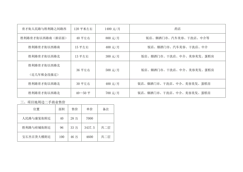 衡水住宅项目商业部分前期市场调研分析报告.docx_第3页