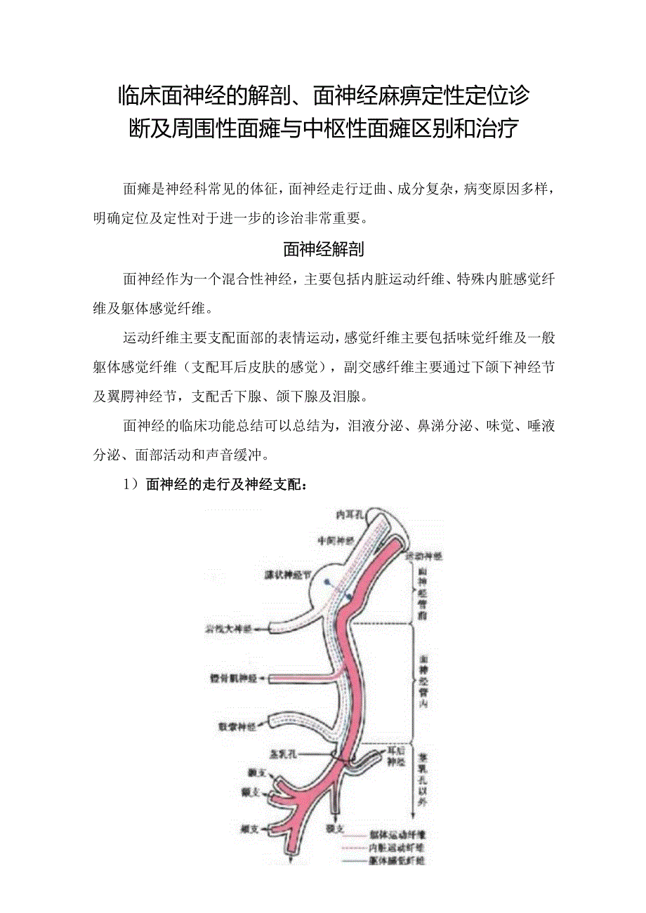 临床面神经的解剖、面神经麻痹定性定位诊断及周围性面瘫与中枢性面瘫区别和治疗.docx_第1页