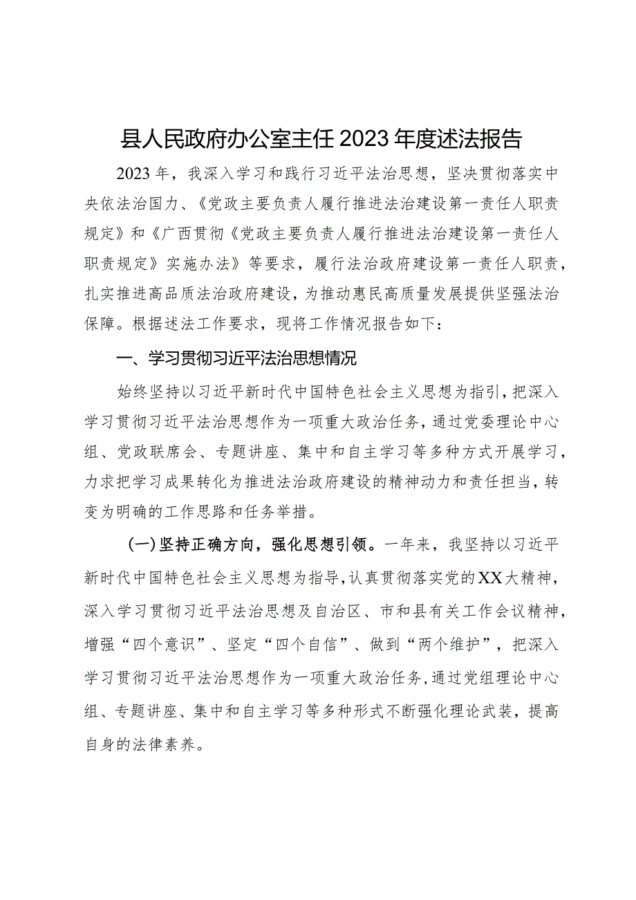 县人民政府办公室主任2023年度述法报告.docx_第1页