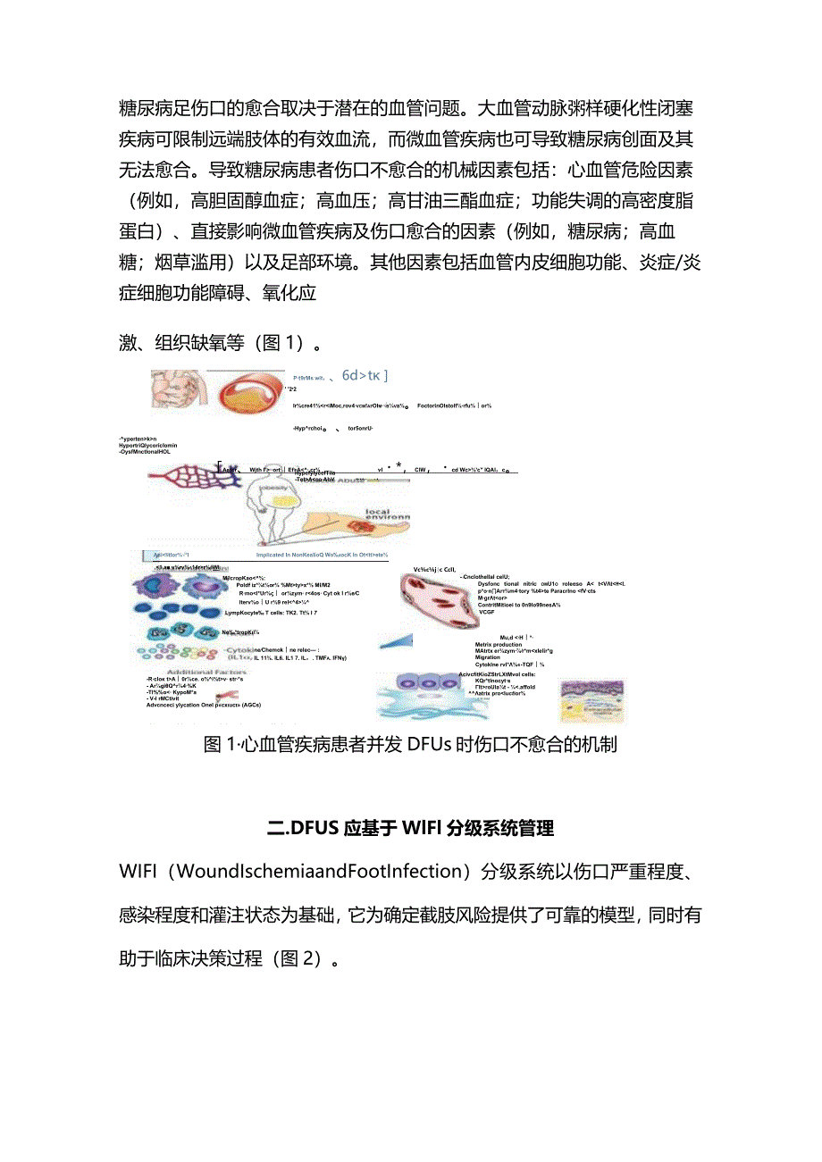 2024AHA科学声明：心血管疾病与糖尿病足.docx_第2页