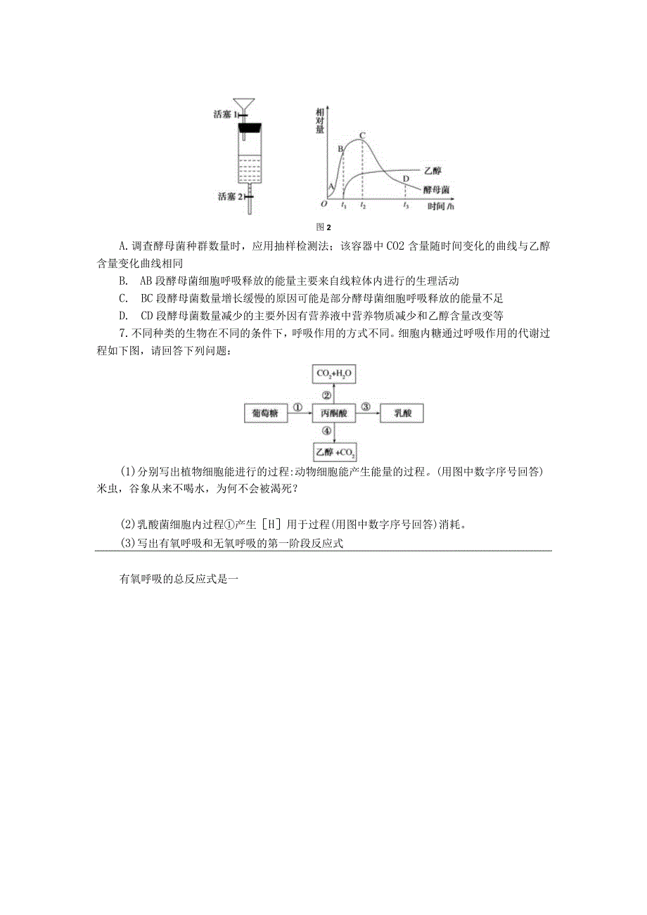 专练23细胞呼吸(有氧呼吸与无氧呼吸).docx_第2页