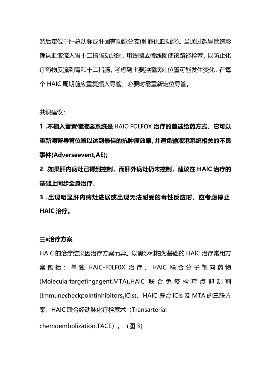 2024肝癌的动脉灌注治疗.docx_第3页