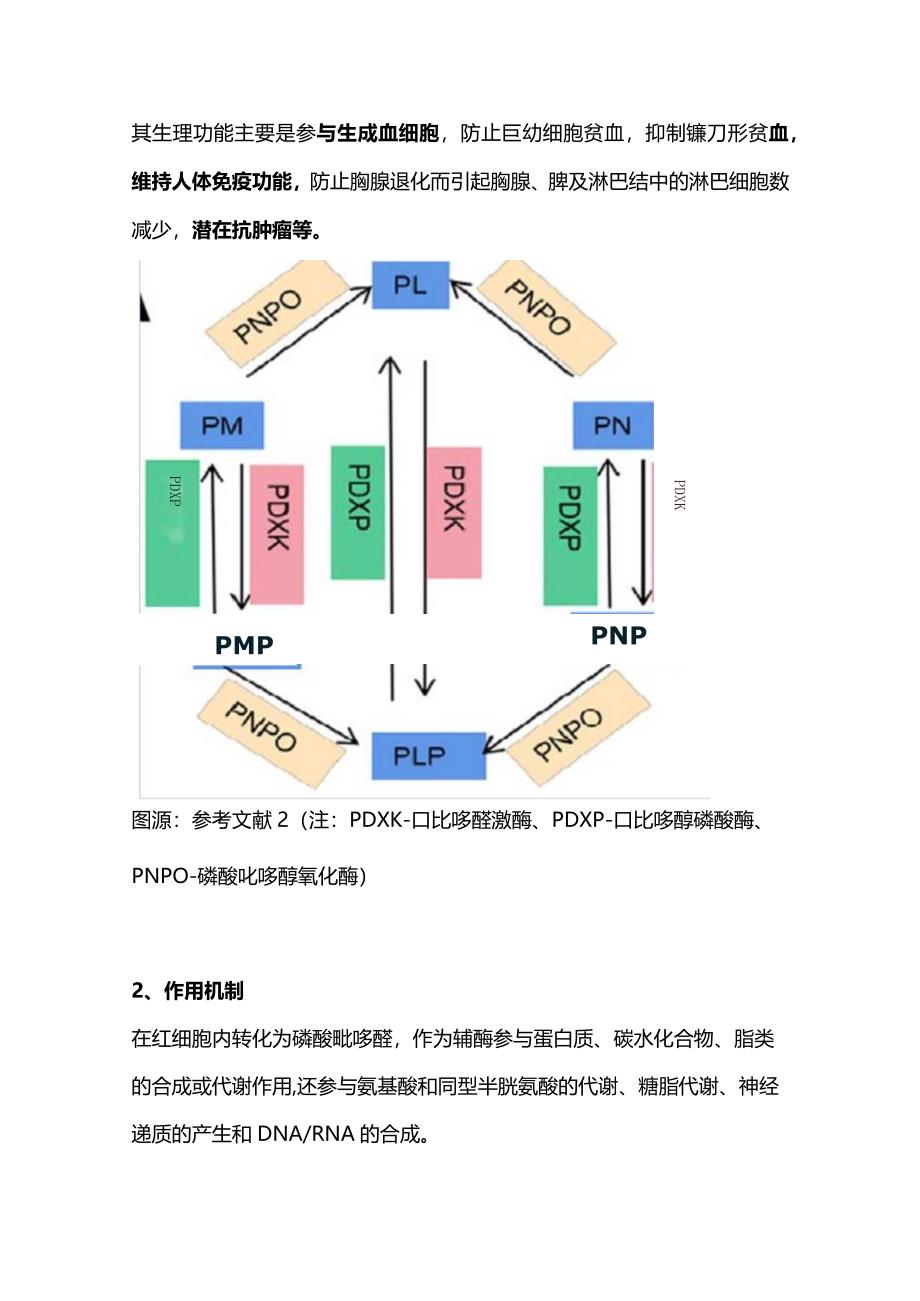 2024维生素B6临床应用及用法用量.docx_第2页