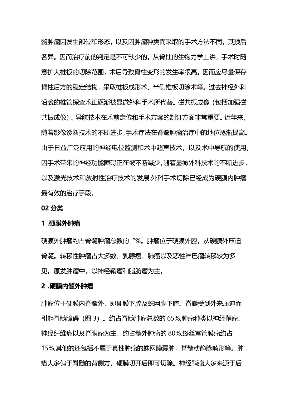 2024脊髓肿瘤的分型及诊疗策略.docx_第2页