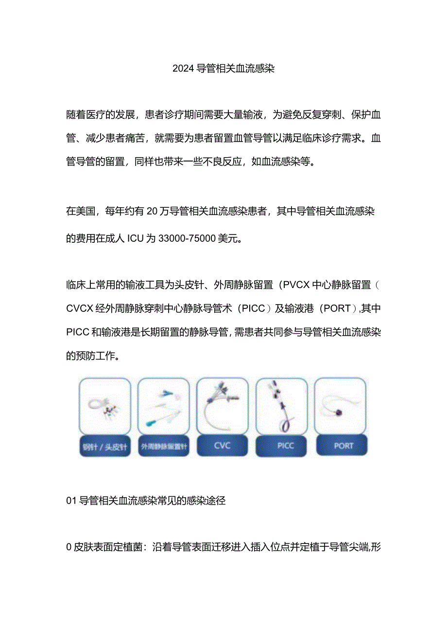 2024导管相关血流感染.docx_第1页