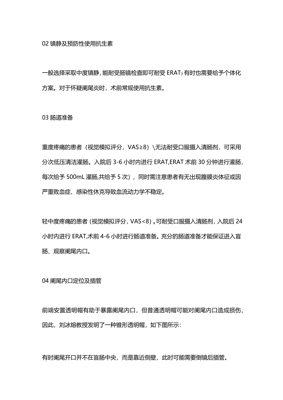 2024内镜逆行性阑尾炎治疗（ERAT）实用建议.docx_第2页