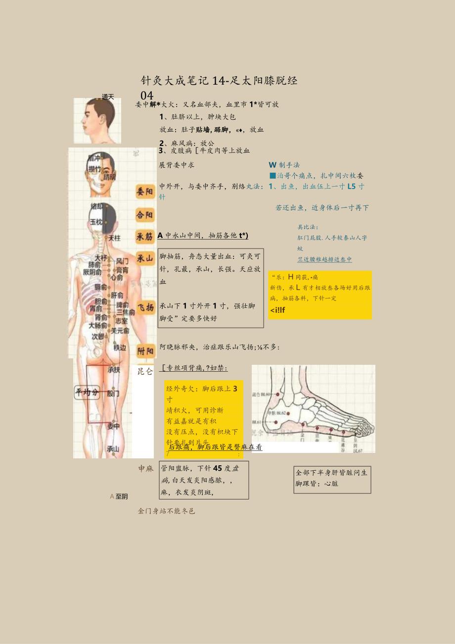 图解针灸《针灸大成笔记》倪海厦老师视频整理5之4.docx_第3页