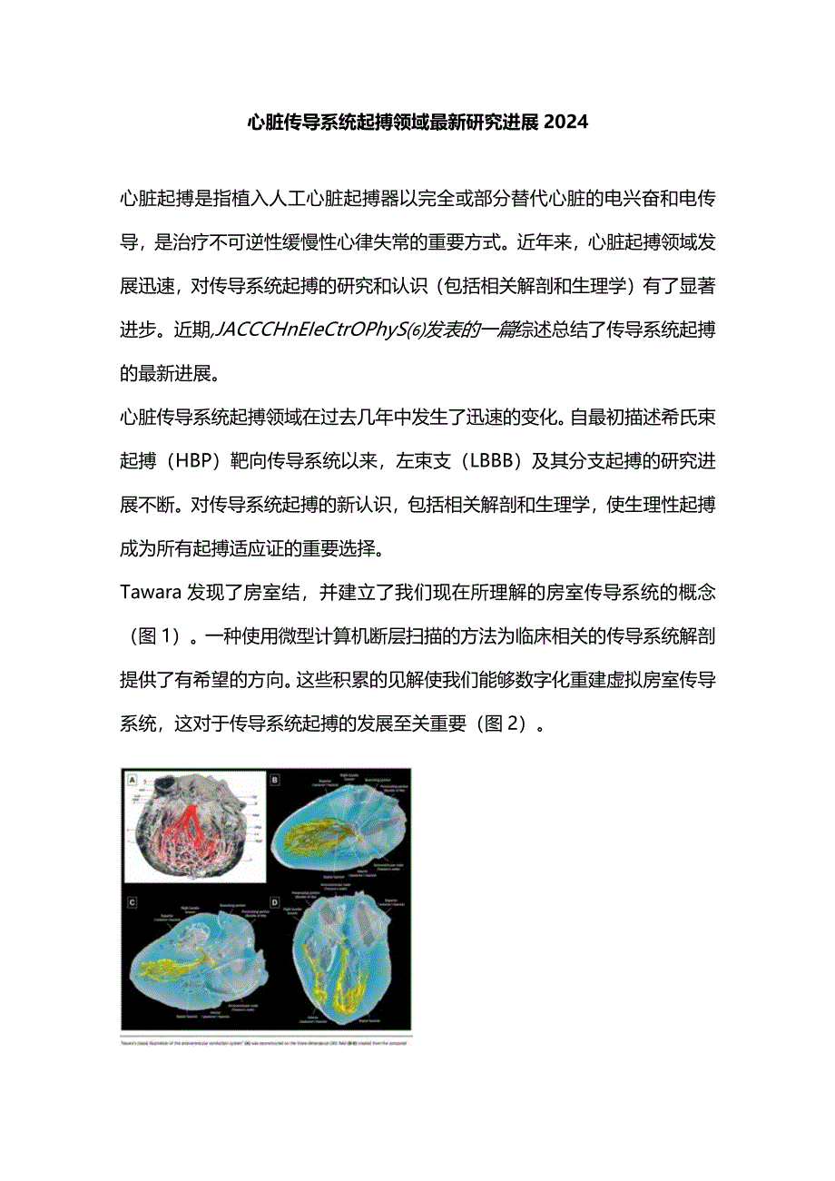 心脏传导系统起搏领域最新研究进展2024.docx_第1页