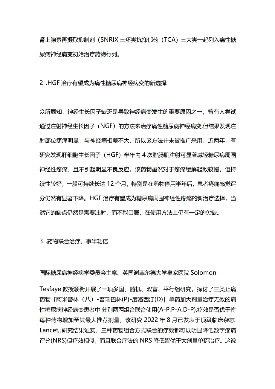 2024糖尿病神经病变领域现状与未来.docx_第2页