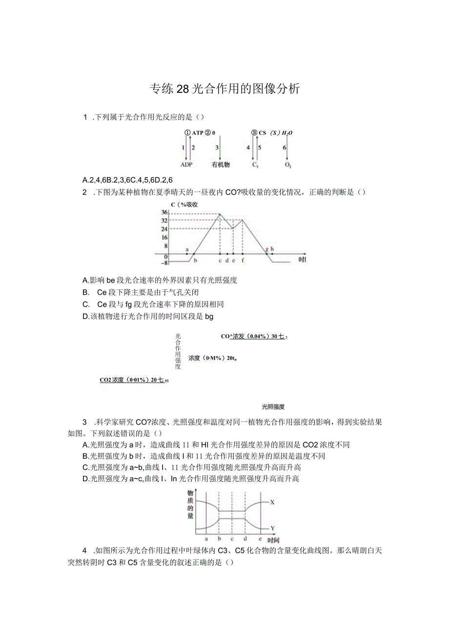 专练28光合作用的图像分析.docx_第1页