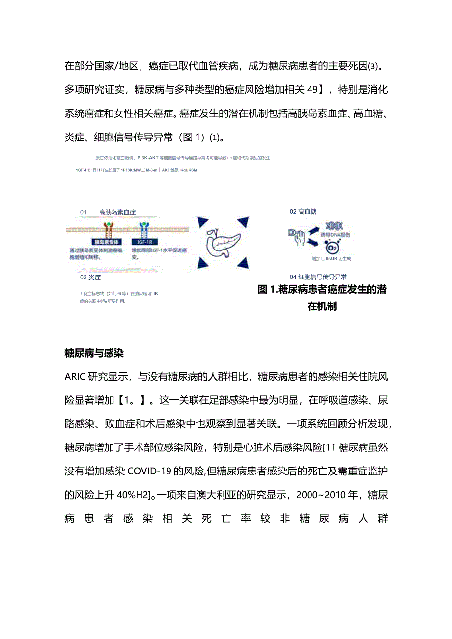 2024糖尿病新兴并发症的负担和风险.docx_第2页