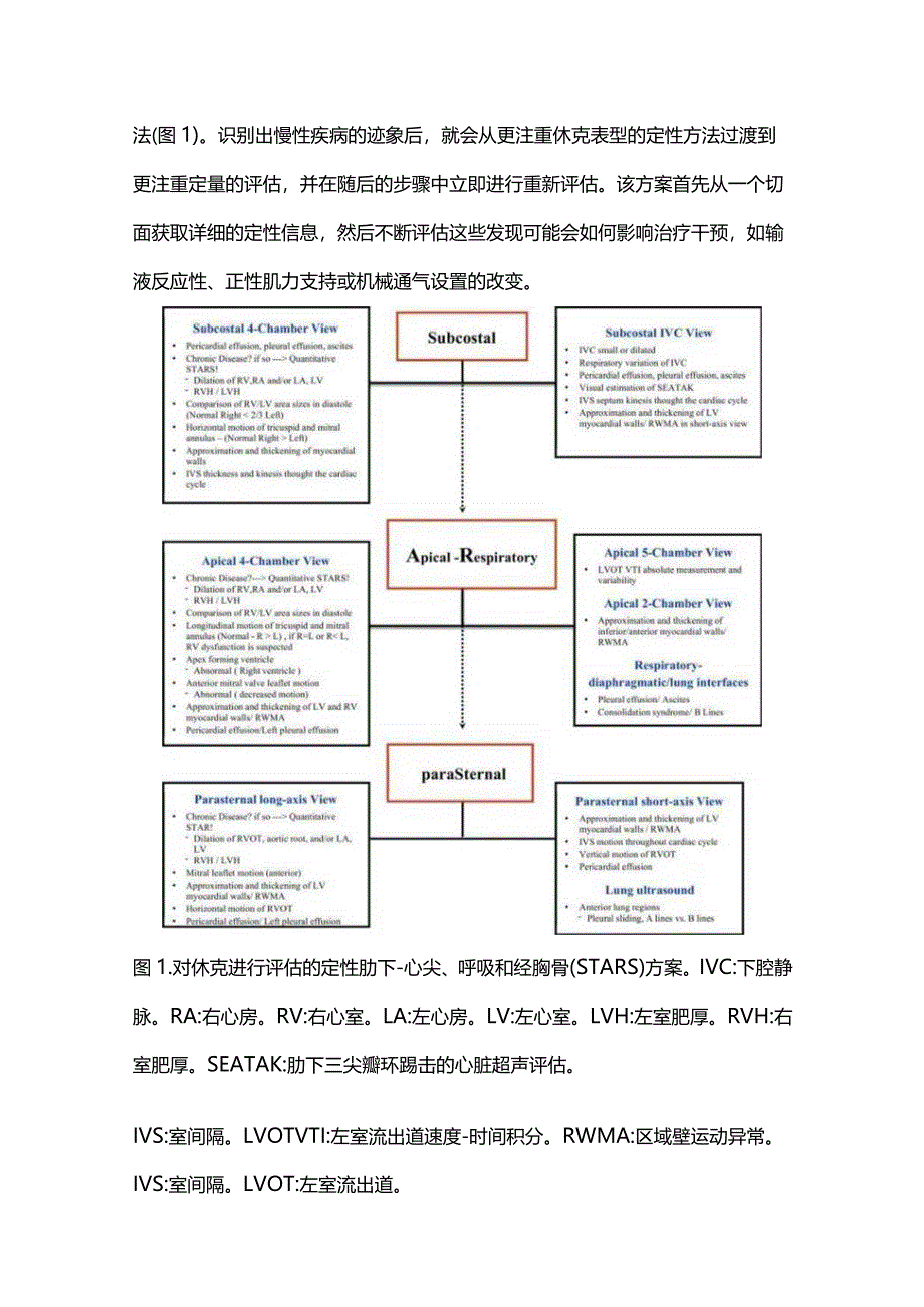 STARS-CRASH：管理休克的心超流程2024.docx_第2页