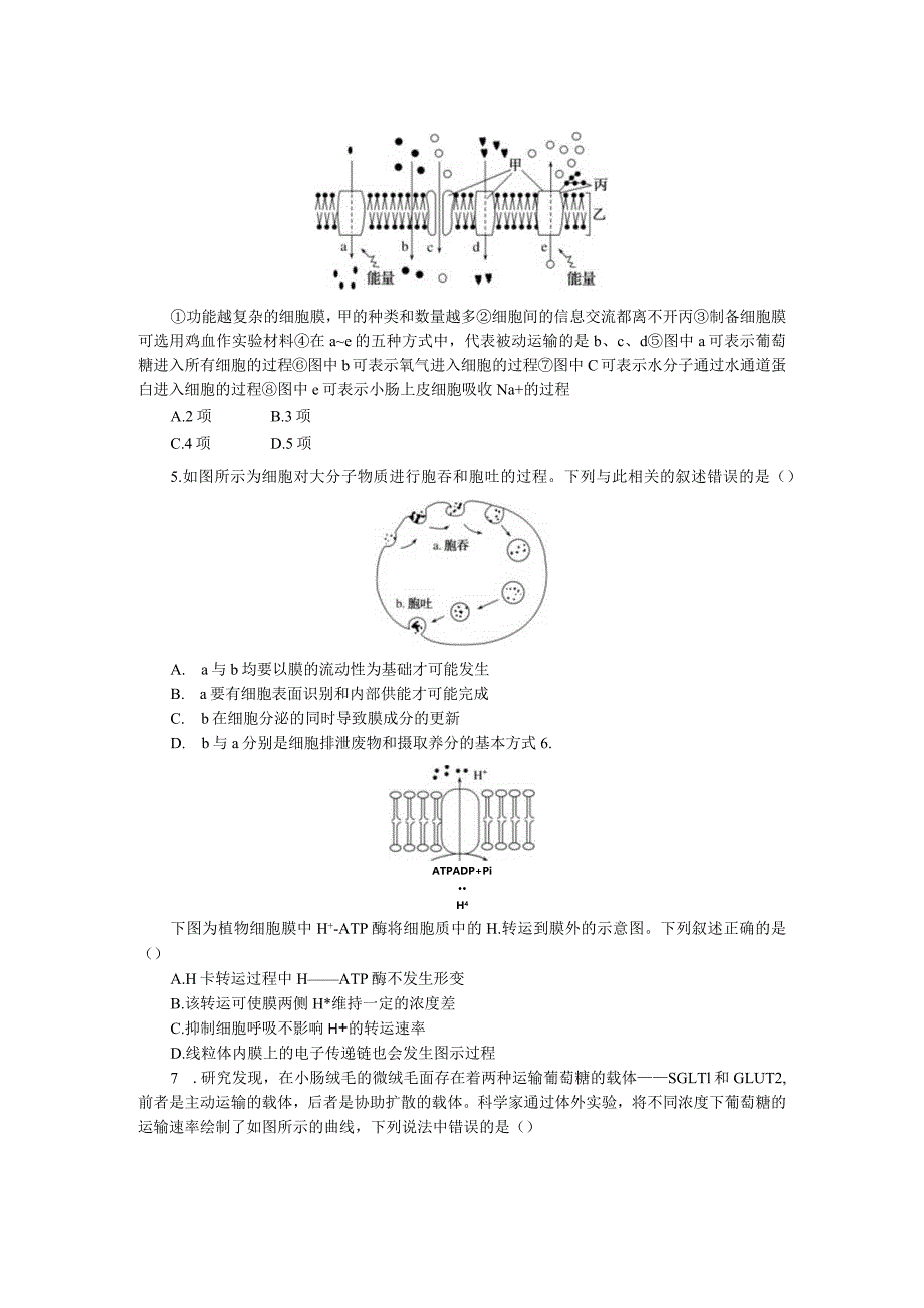 专练14物质跨膜运输方式的图表解读.docx_第2页