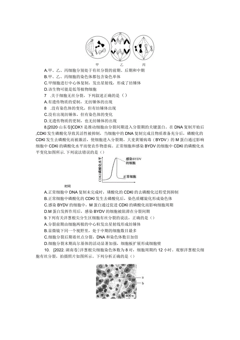 专练28细胞的增殖.docx_第2页