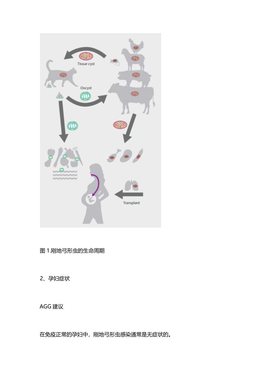 2024孕妇感染弓形虫在妊娠期感染的治疗最新指南.docx_第2页