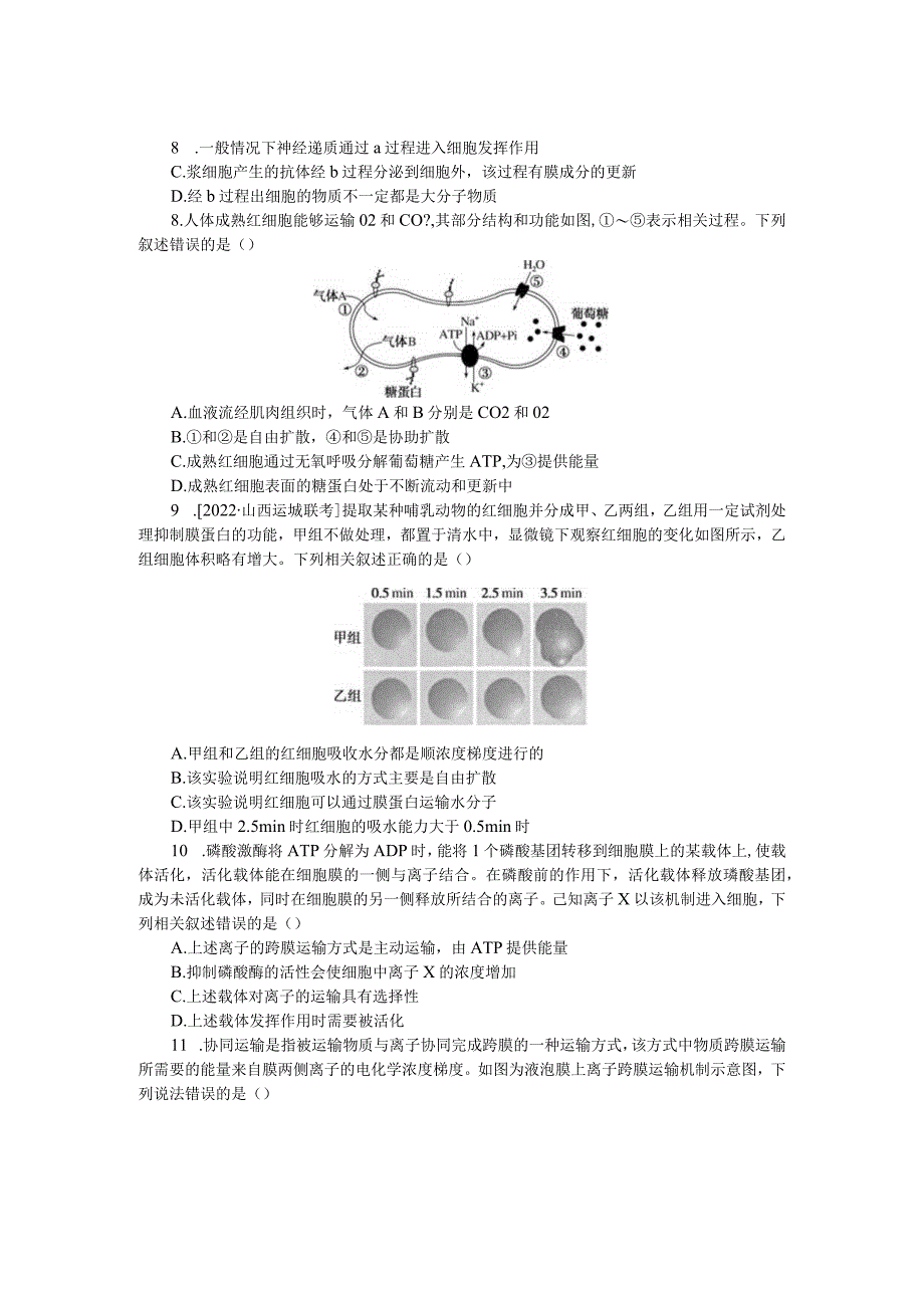 专练13物质跨膜运输的方式.docx_第2页