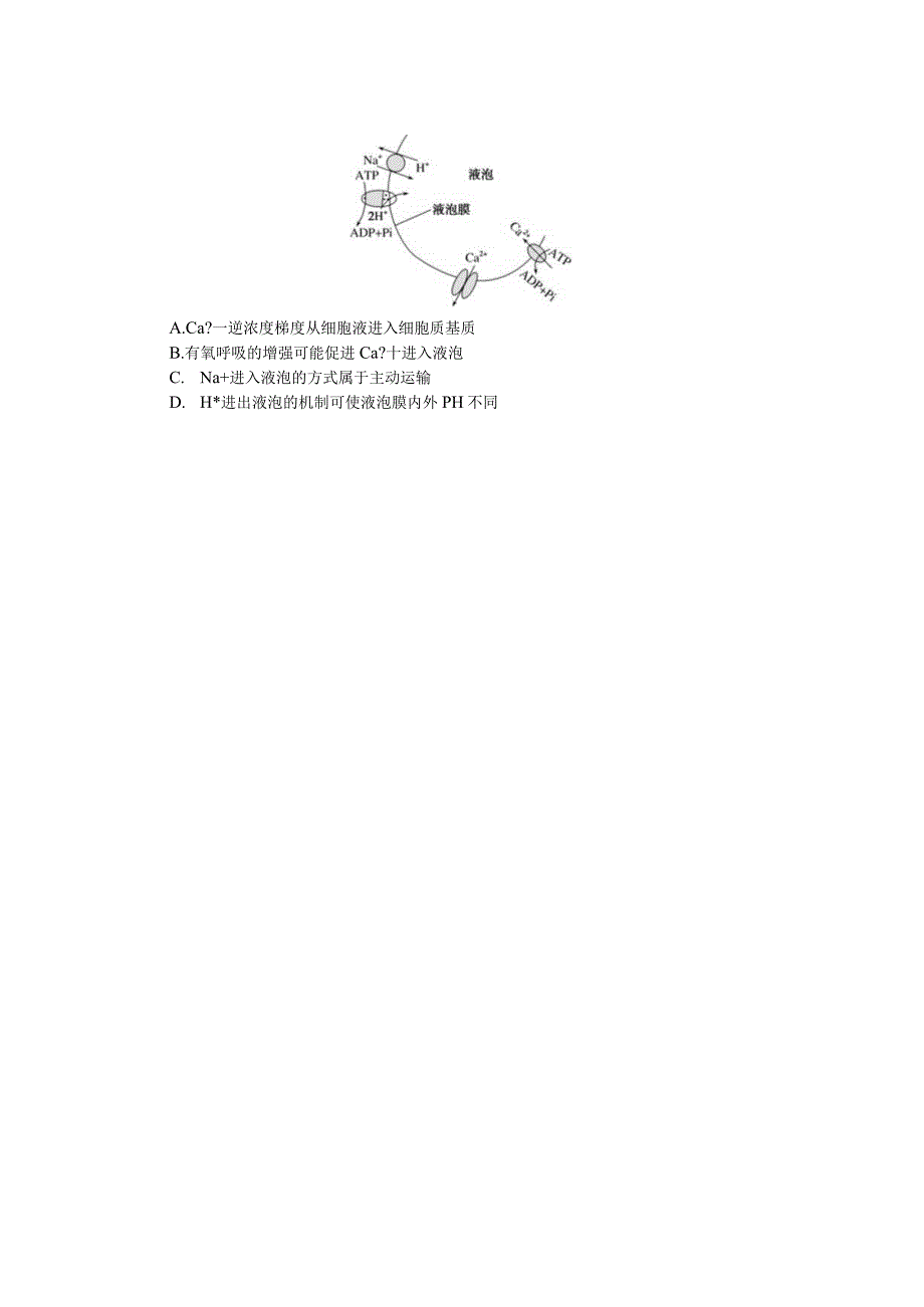 专练13物质跨膜运输的方式.docx_第3页