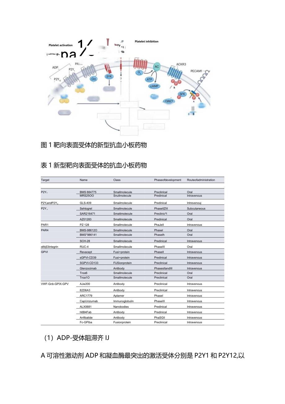 2024抗血小板治疗的新概念和新靶点（第二部分）.docx_第2页