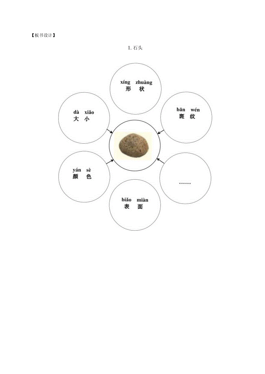 苏教版科学一年级下册第1课石头教案.docx_第3页