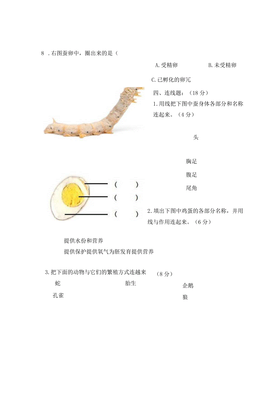 （原创）动物的一生单元测试题1.docx_第3页