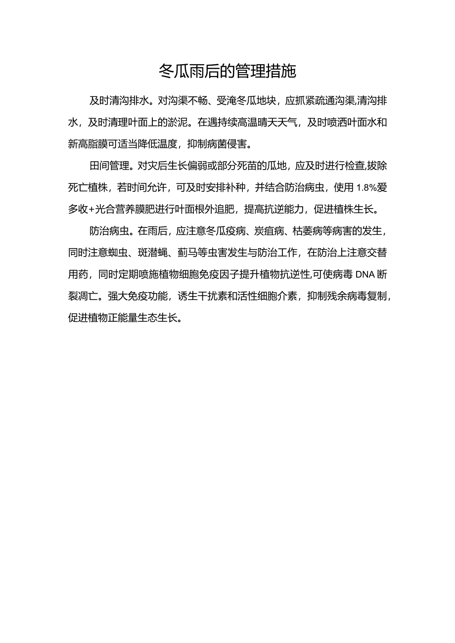 冬瓜雨后的管理措施.docx_第1页