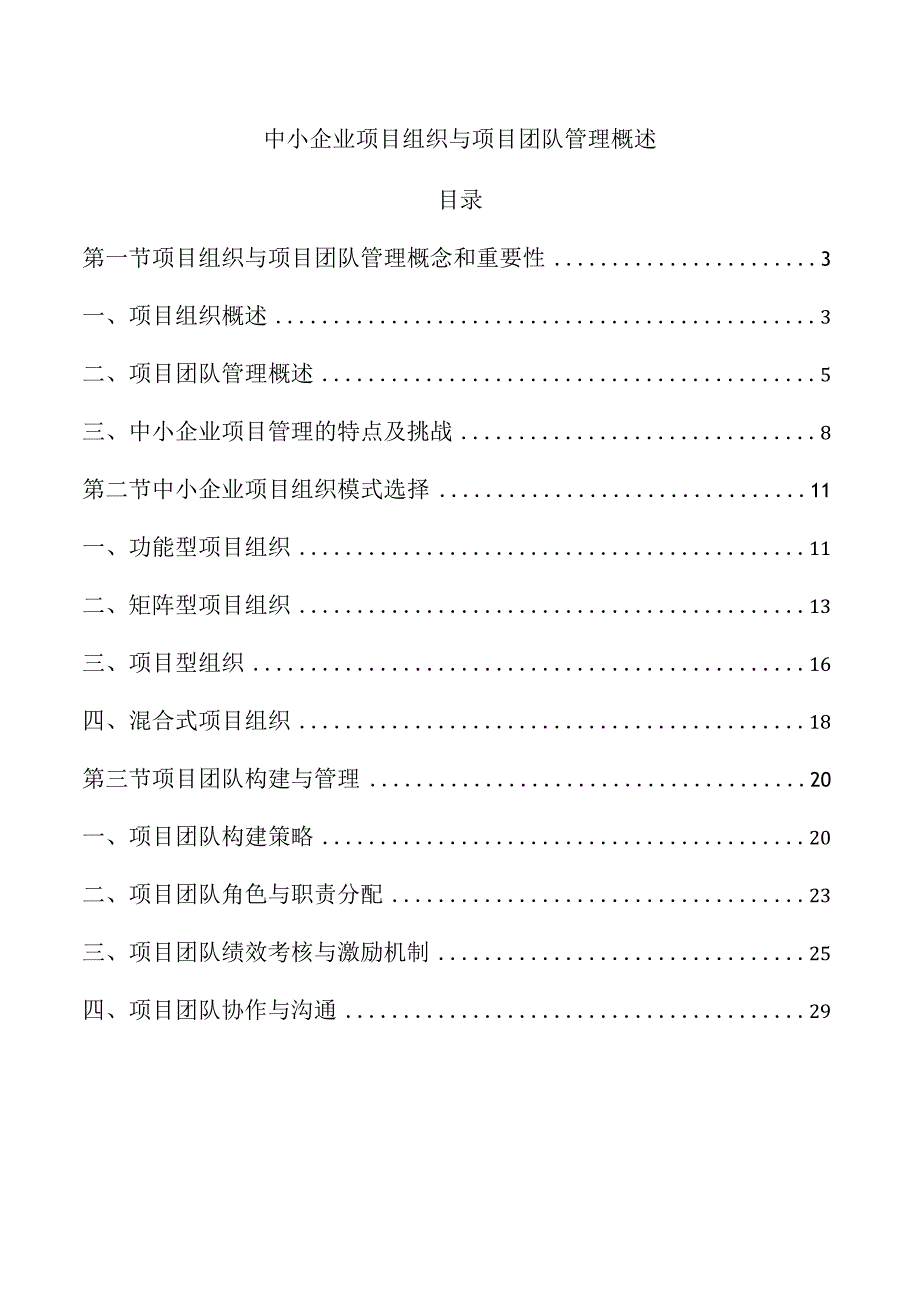 中小企业项目组织与项目团队管理概述.docx_第1页