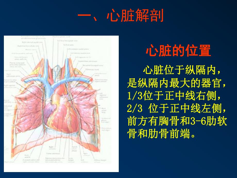 心脏超声诊断1.ppt_第3页