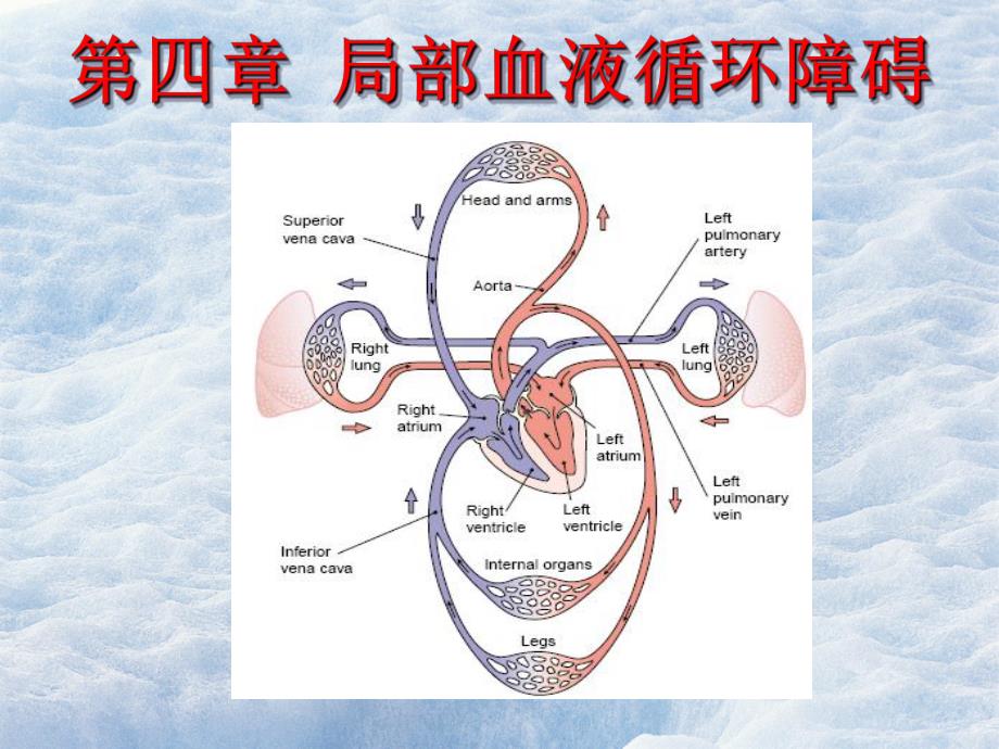 局部血液循环障碍.ppt_第1页