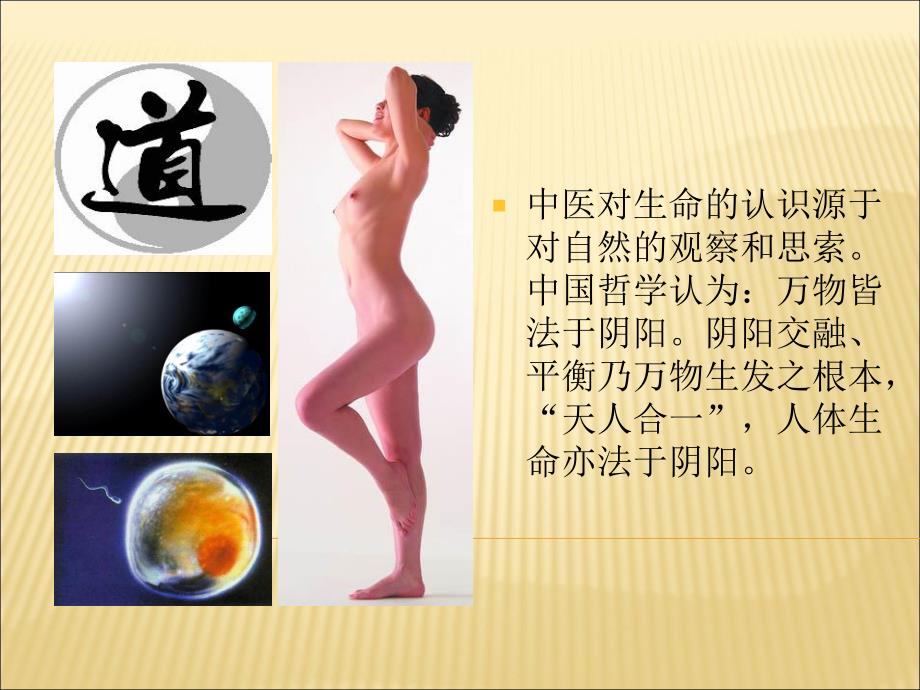 中医基础知识.ppt.ppt_第2页