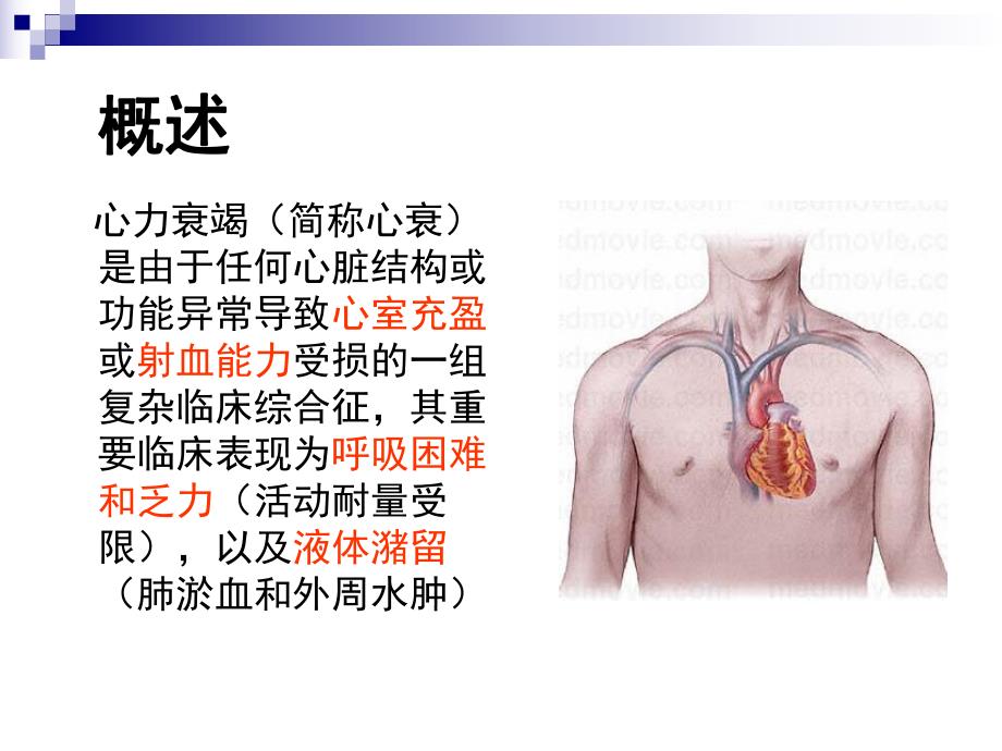 急性左心衰的诊断和治疗医学幻灯片.ppt_第2页