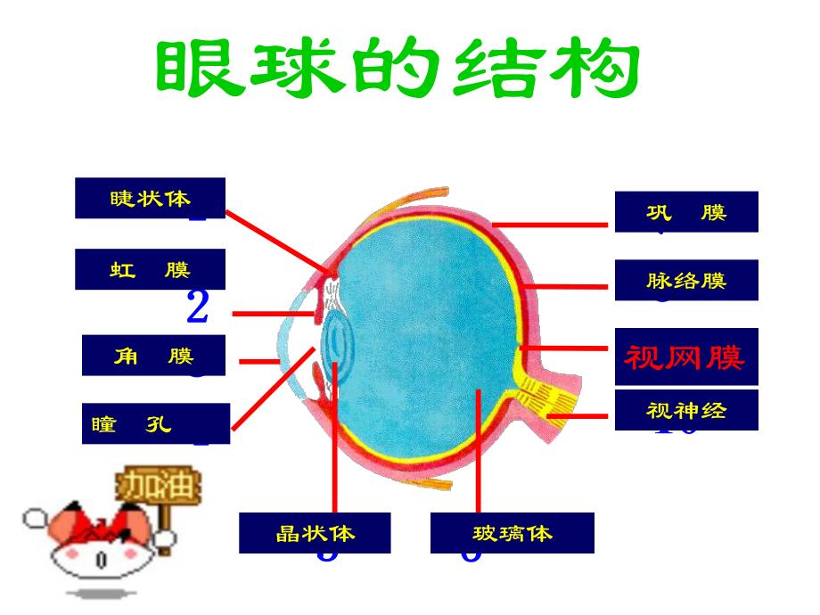 保护视力PPT.ppt_第2页