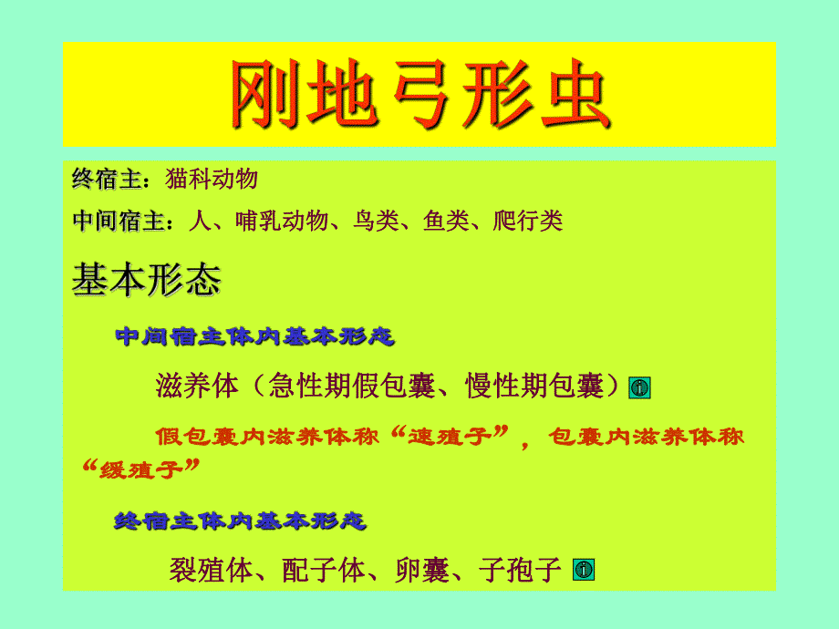 【预防医学】e寄生虫学第十三讲（弓形虫） .ppt_第2页