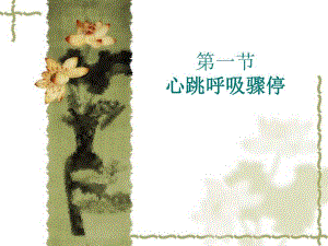 心跳呼吸骤停.ppt