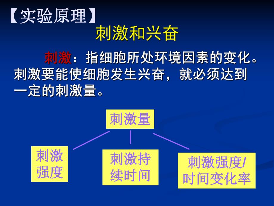 刺激强度、刺激频率与骨骼肌收缩的关系2mlh.ppt_第2页