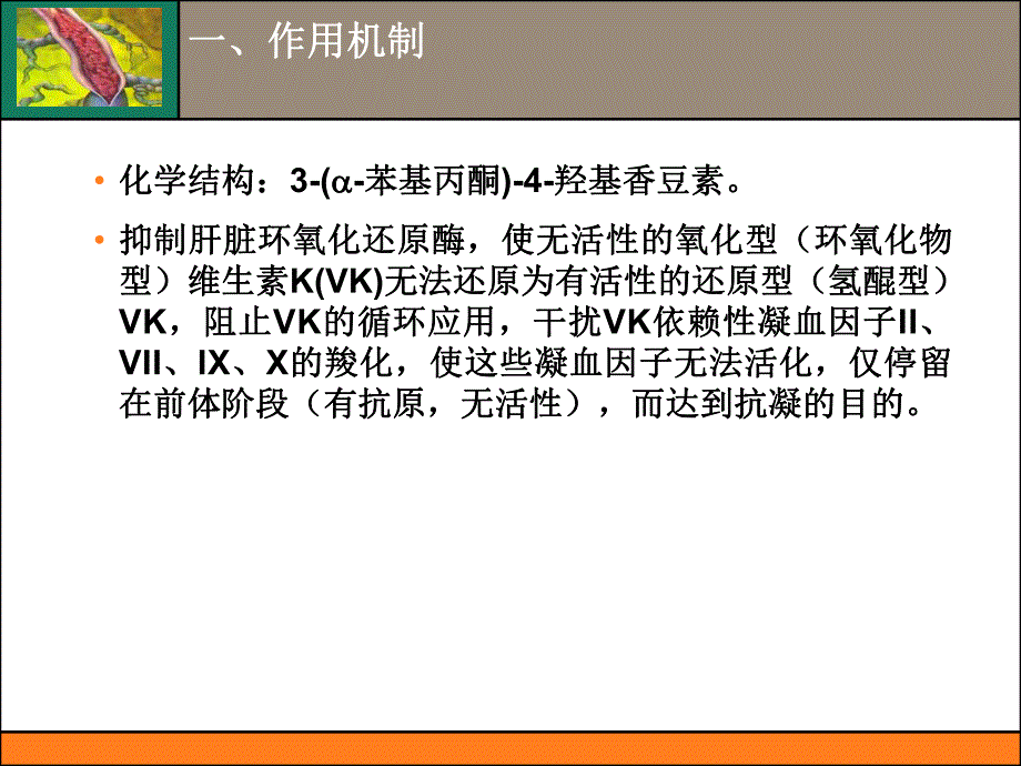 华法林抗凝治疗.ppt_第2页