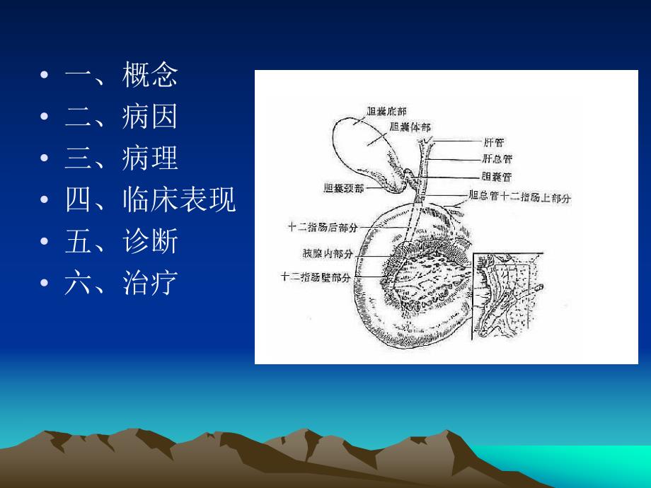 急性梗阻性化脓性胆管炎.ppt_第2页