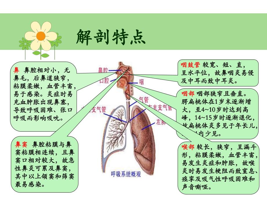 支气管哮喘护理查房.ppt_第2页