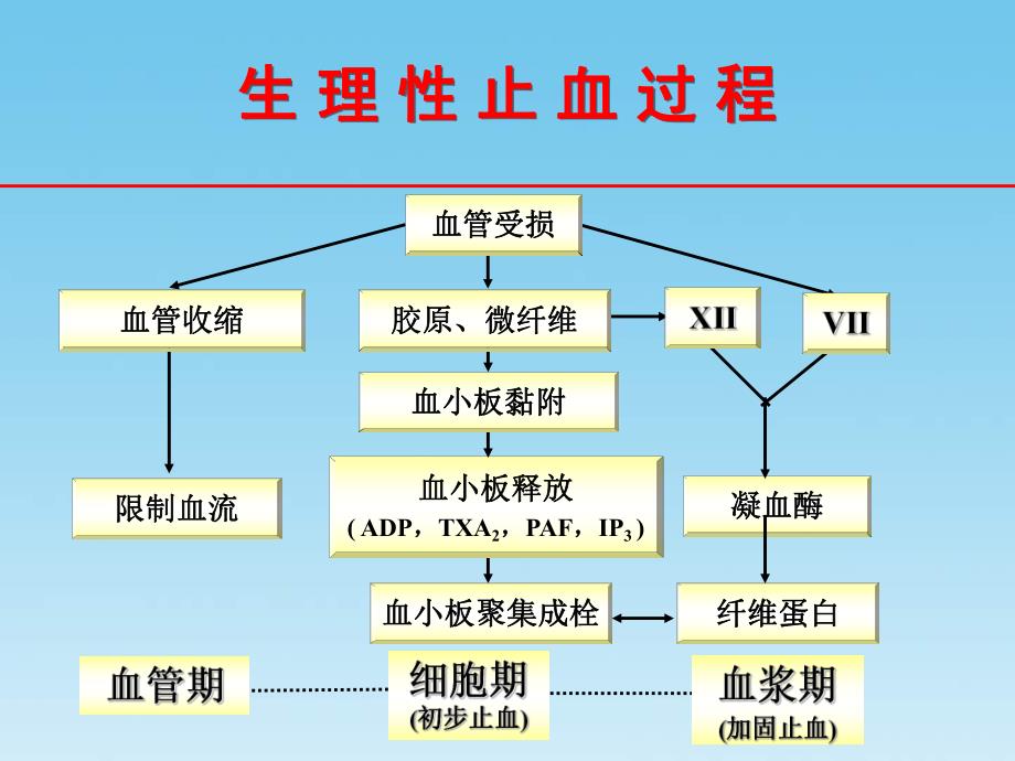 抗血小板药的临床选择.ppt_第3页